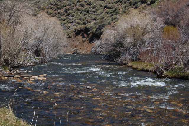 the West Walker River